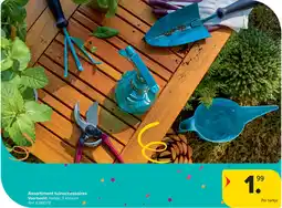 Carrefour Assortiment Tuinaccessoires aanbieding