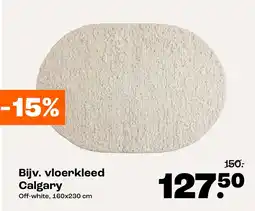 Kwantum vloerkleed Calgary aanbieding