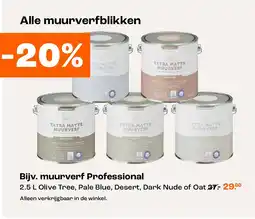 Kwantum Alle muurverfblikken aanbieding