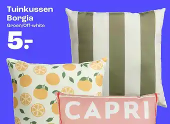 Kwantum Tuinkussen Borgia aanbieding