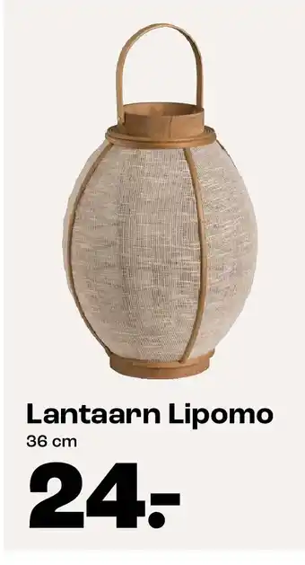 Kwantum Lantaarn Lipomo aanbieding