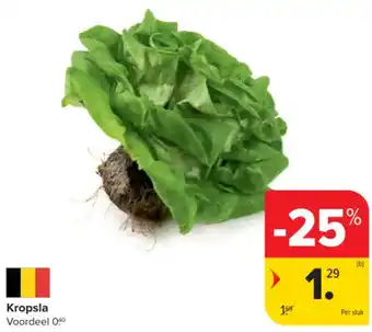 Carrefour Market Kropsla aanbieding