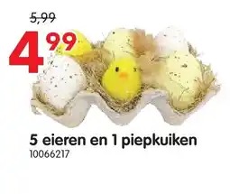 Yess 5 eieren en 1 piepkuiken aanbieding