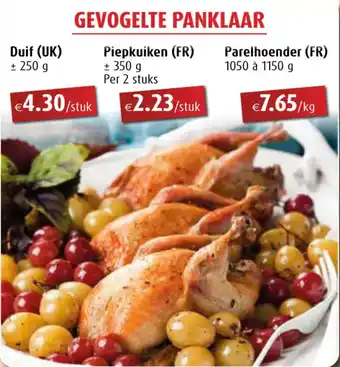 Aronde Gevogelte Panklaar Duif aanbieding