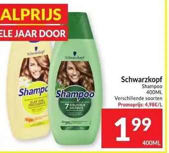 Schwarzkopf