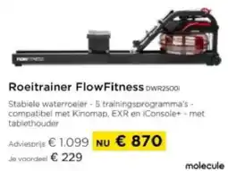 Molecule Roeitrainer FlowFitness DWR250Di aanbieding