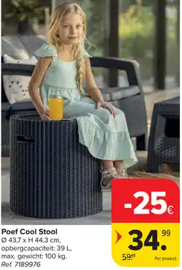 Carrefour Poef Cool Stool aanbieding