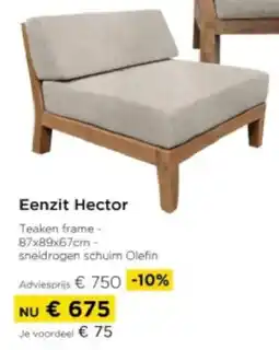 Molecule Eenzit Hector aanbieding