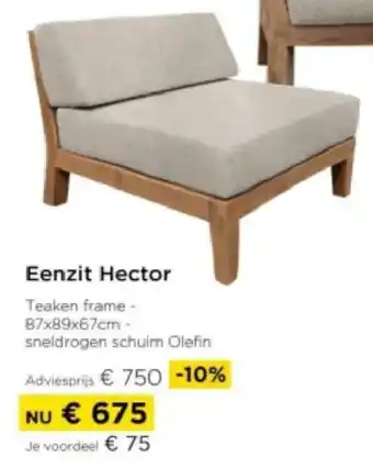 Molecule Eenzit Hector aanbieding