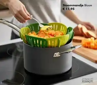 Multi bazar Stoommandje bloom aanbieding