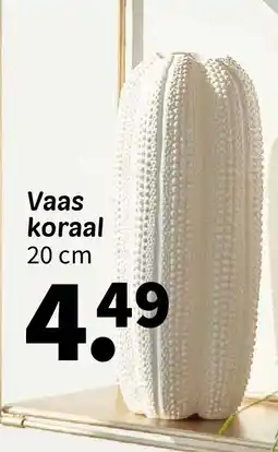 Wibra Vaas koraal aanbieding