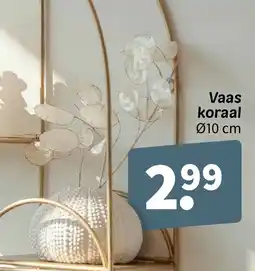 Wibra Vaas koraal aanbieding