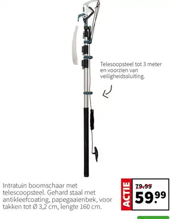 Intratuin Intratuin boomschaar met telescoopsteel aanbieding