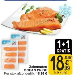 Cora Zalmmoten OCEAN PRIDE aanbieding