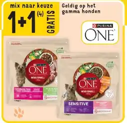 Cora Geldig op het gamma honden aanbieding