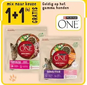 Cora Geldig op het gamma honden aanbieding