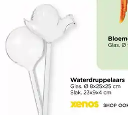 Xenos Bloemenspuit aanbieding