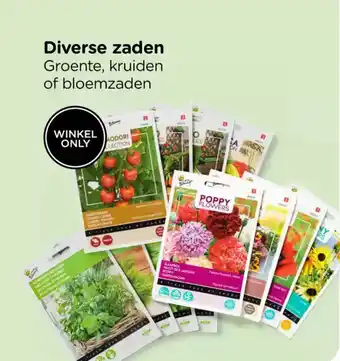 Xenos Diverse zaden aanbieding