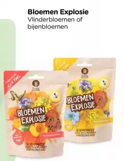 Xenos Bloemen Explosie aanbieding