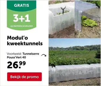 AVEVE Tunnelserre Pouss'Vert 40 aanbieding