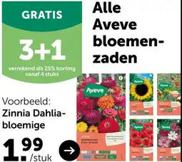 AVEVE Zinnia Dahlia- bloemige aanbieding