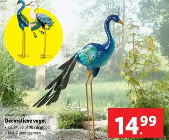 Lidl Decoratieve vogel aanbieding