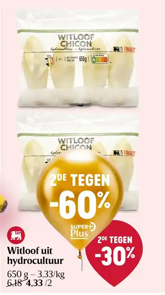 Delhaize Witloof uit hydrocultuur aanbieding