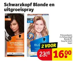 Kruidvat Schwarzkopf Blonde en uitgroeispray aanbieding