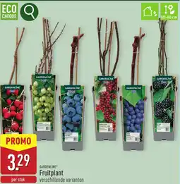 ALDI Gardenline fruitplant aanbieding