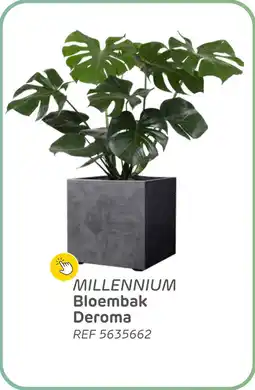 Brico Millennium bloembak deroma aanbieding