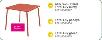 Brico Central park tafel lily curry aanbieding