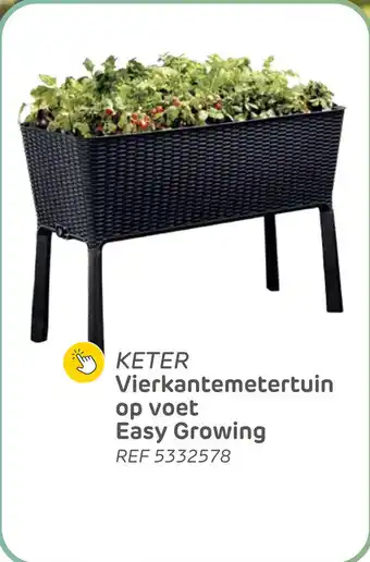 Brico Keter vierkantemetertuin op voet easy growing aanbieding