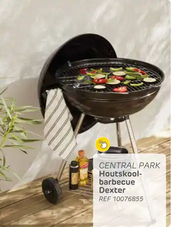 Brico Central park houtskool barbecue dexter aanbieding