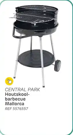 Brico Central park houtskool barbecue mallorca aanbieding