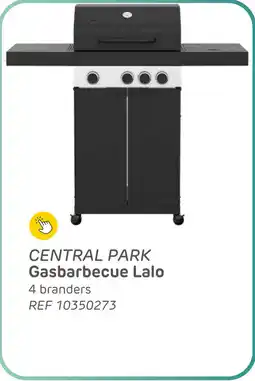 Brico Central park gasbarbecue lalo aanbieding