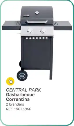 Brico Central park gasbarbecue correntina aanbieding