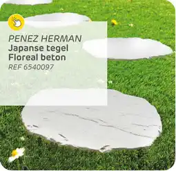 Brico Penez herman japanse tegel floreal beton aanbieding