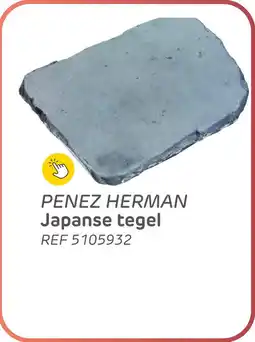 Brico Penez herman japanse tegel aanbieding