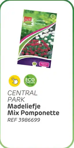 Brico Central park madeliefje mix pomponette aanbieding