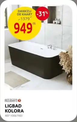 Brico Ligbad kolora aanbieding