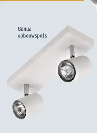 GAMMA Genua opbouwspots aanbieding