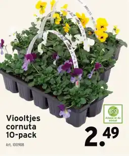 GAMMA Viooltjes cornuta 10-pack aanbieding