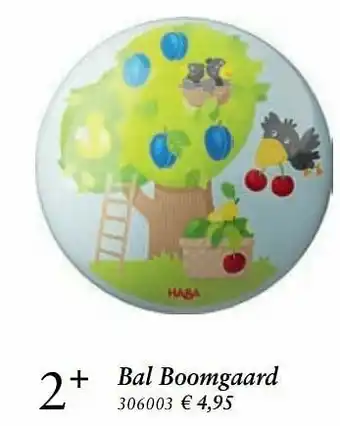 Europoint Bal boomgaard aanbieding