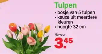 Van Cranenbroek Tulpen aanbieding