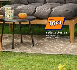 Action Pallet zitkussen aanbieding