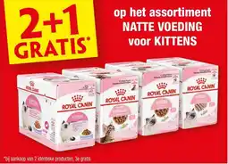 Hubo Op het assortiment natte voeding voor kittens aanbieding