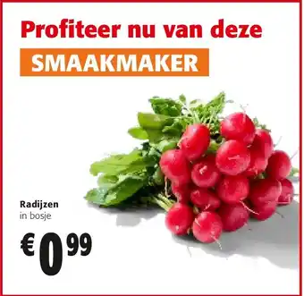 Colruyt Radijzen aanbieding