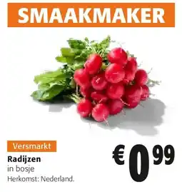 Colruyt Radijzen aanbieding