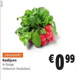 Colruyt Radijzen in bosje aanbieding