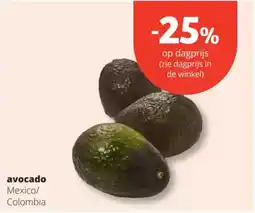 Avocado